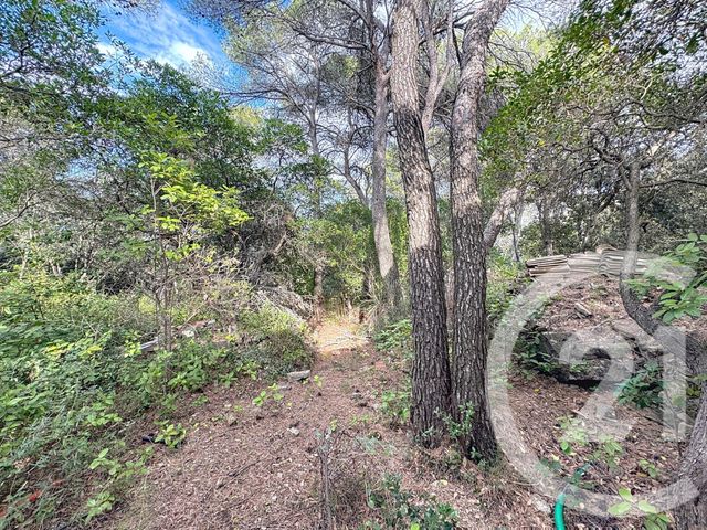 maison à vendre - 3 pièces - 60.0 m2 - CLERMONT L HERAULT - 34 - LANGUEDOC-ROUSSILLON - Century 21 Granié Immobilier