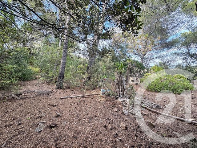 maison à vendre - 3 pièces - 60.0 m2 - CLERMONT L HERAULT - 34 - LANGUEDOC-ROUSSILLON - Century 21 Granié Immobilier