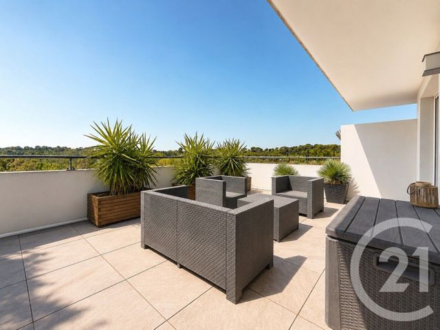 appartement - MONTPELLIER - 34