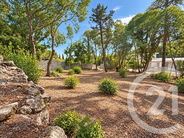 terrain à vendre - 1086.0 m2 - MONTPELLIER - 34 - LANGUEDOC-ROUSSILLON - Century 21 Granié Immobilier
