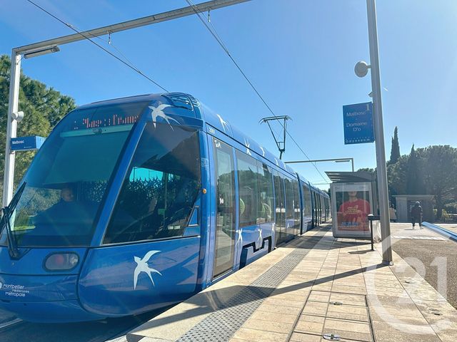 Appartement F2 à vendre - 2 pièces - 47.18 m2 - MONTPELLIER - 34 - LANGUEDOC-ROUSSILLON - Century 21 Granié Immobilier