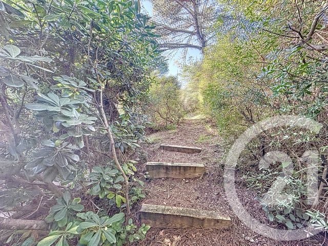 maison à vendre - 10 pièces - 268.0 m2 - ST CLEMENT DE RIVIERE - 34 - LANGUEDOC-ROUSSILLON - Century 21 Granié Immobilier