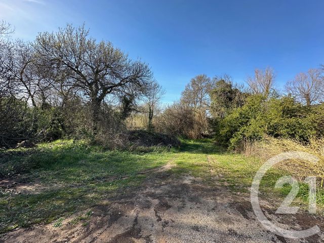 maison à vendre - 5 pièces - 118.37 m2 - GRABELS - 34 - LANGUEDOC-ROUSSILLON - Century 21 Granié Immobilier