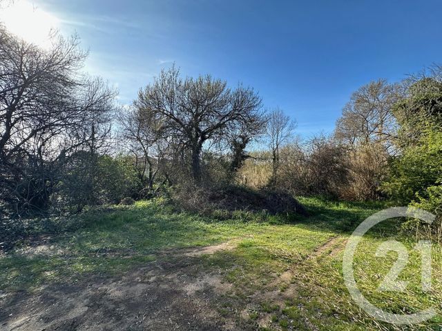 maison à vendre - 5 pièces - 118.37 m2 - GRABELS - 34 - LANGUEDOC-ROUSSILLON - Century 21 Granié Immobilier