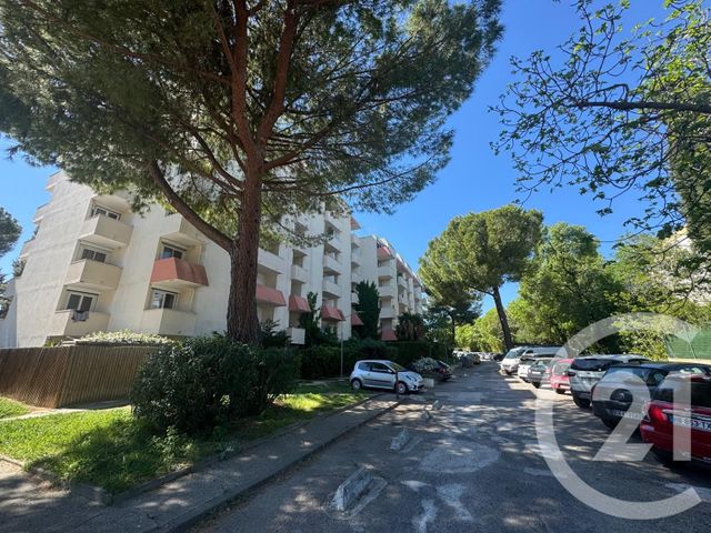 Appartement Studio à louer MONTPELLIER